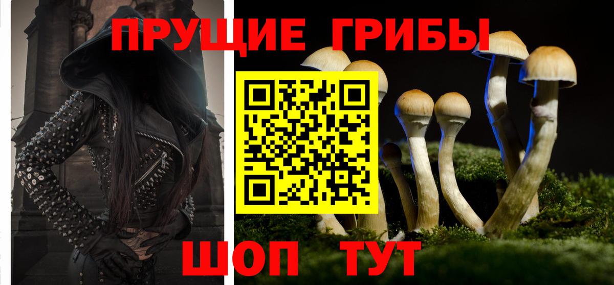 Галлюциногенные грибы Psilocybine cubensis  Вход с VPN  Галлюциногенные грибы ЛСД  Россия 