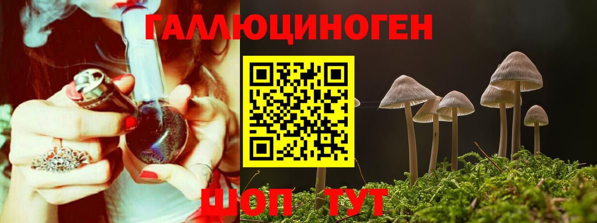 Галлюциногенные грибы Cubensis Россия